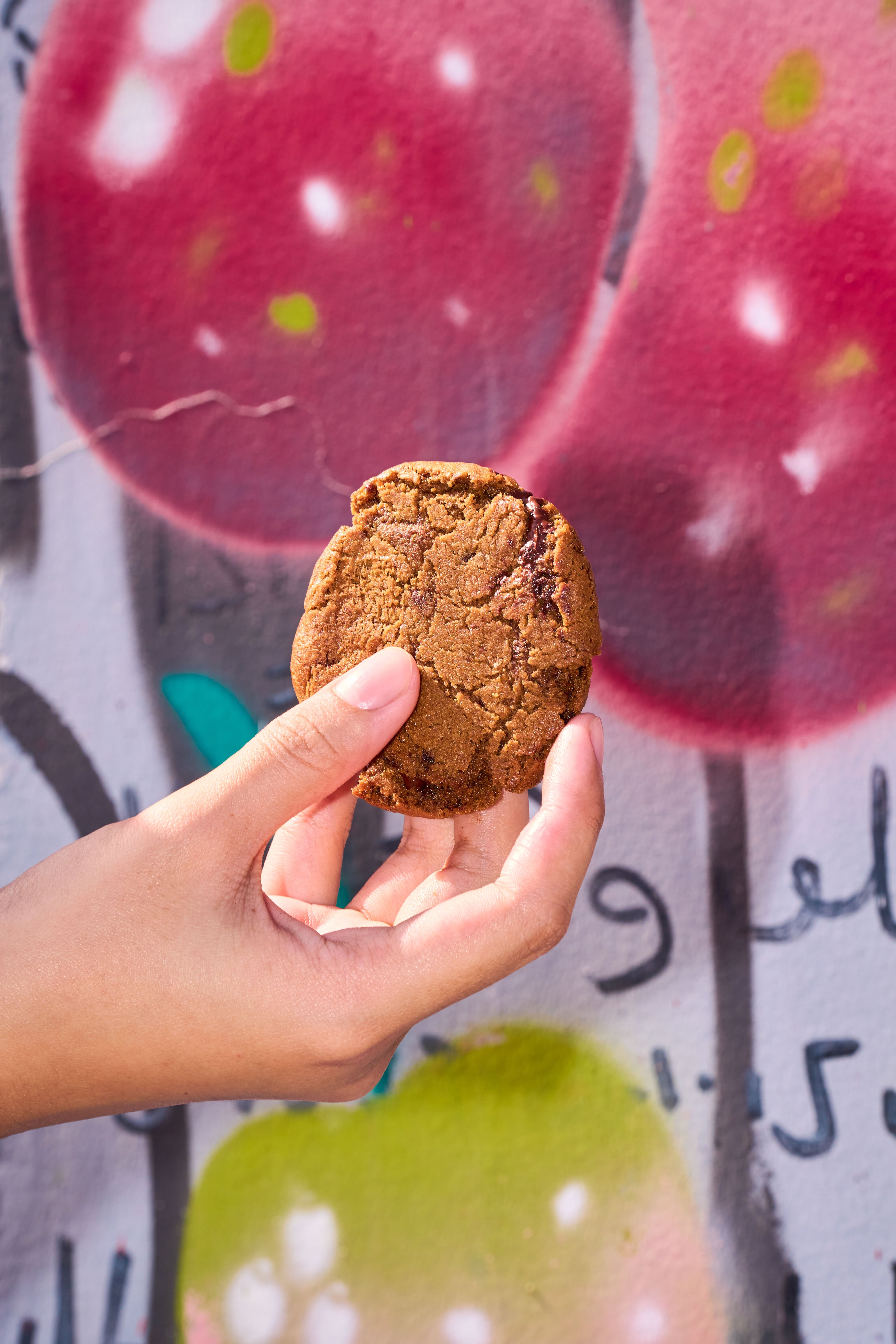 Magic Chocolate Chip Cookies